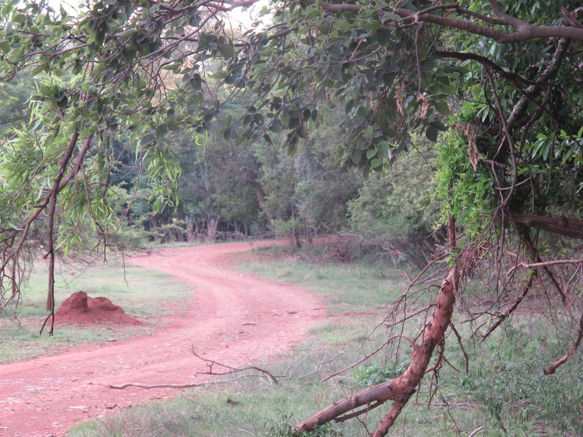 Harties Is Africa Safari Lodge Kosmos Exteriör bild