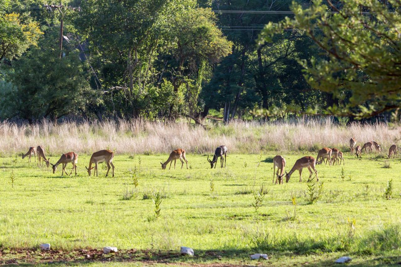 Harties Is Africa Safari Lodge Kosmos Exteriör bild