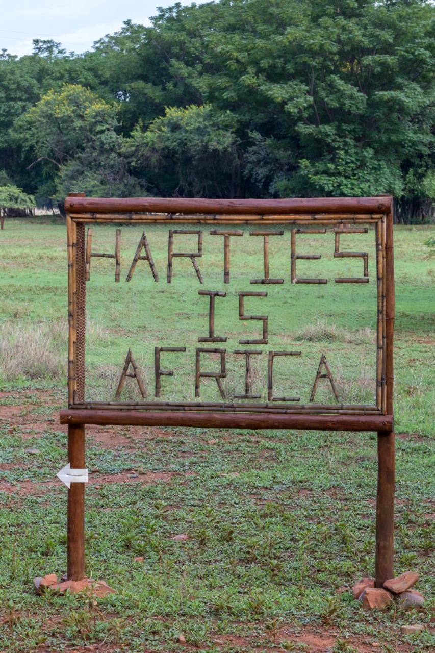 Harties Is Africa Safari Lodge Kosmos Exteriör bild