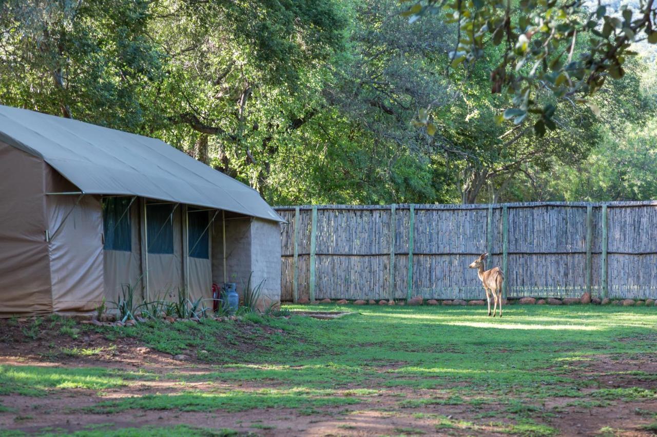 Harties Is Africa Safari Lodge Kosmos Exteriör bild