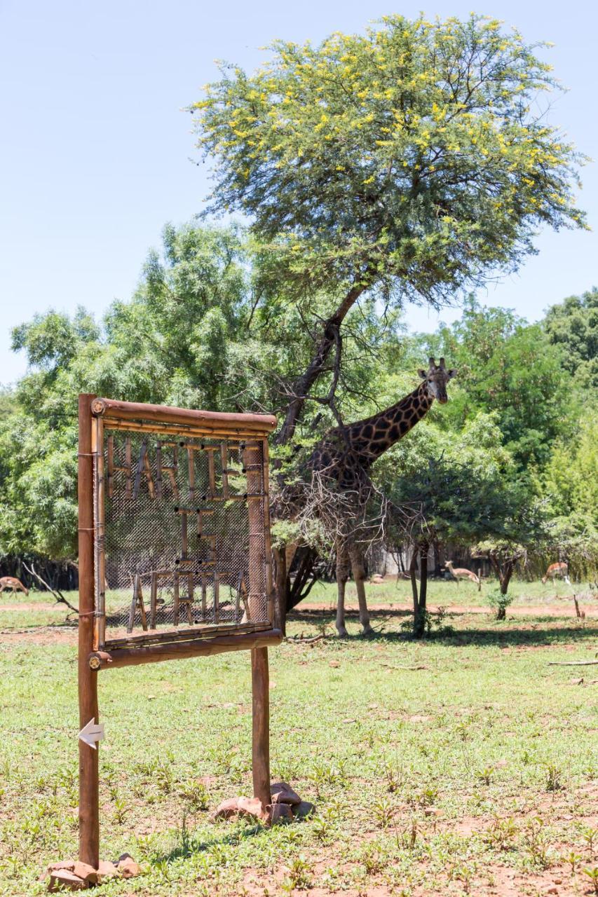 Harties Is Africa Safari Lodge Kosmos Exteriör bild